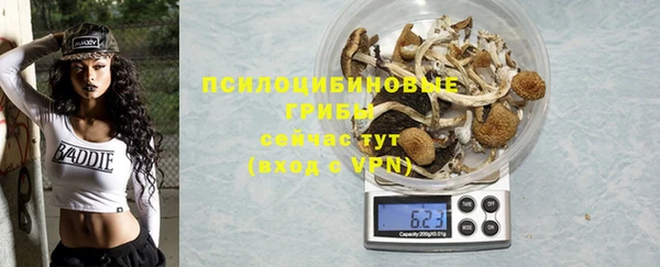 прущие грибы Алексин