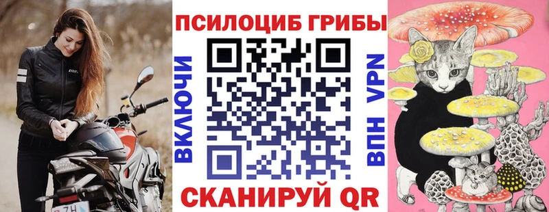 Псилоцибиновые грибы Magic Shrooms  купить   Обнинск 
